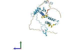 Protein Structure (PS) image for Intraflagellar Transport 46 (IFT46) (AA 1-301) protein (His tag) (ABIN7561251)