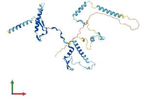Protein Structure (PS) image for RRS1 Ribosome Biogenesis Regulator (RRS1) (AA 1-365) protein (His tag) (ABIN7560754)