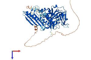 PARP2 Protein (AA 1-583) (His tag)