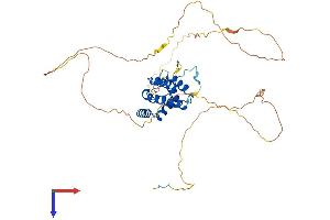 PPP4R2 Protein (AA 1-417) (His tag)