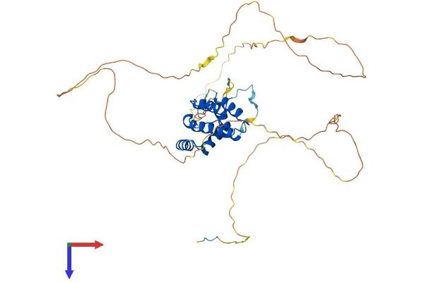 PPP4R2 Protein (AA 1-417) (His tag)