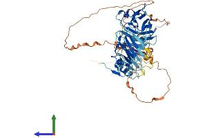 Protein Structure (PS) image for Neuralized E3 Ubiquitin Protein Ligase 1B (NEURL1B) (AA 1-555) protein (His tag) (ABIN7549695)