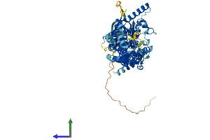 Protein Structure (PS) image for ATP-Binding Cassette, Sub-Family G (WHITE), Member 5 (ABCG5) (AA 1-651) protein (His tag) (ABIN7551873)