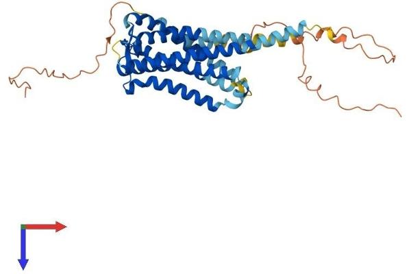 PTGER1 Protein (AA 1-405) (His tag)