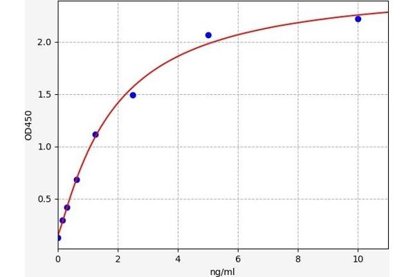 IQGAP1 ELISA Kit