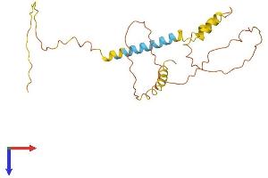 DNM1 Pseudogene 46 (DNM1P46) (AA 1-220) protein (His tag)