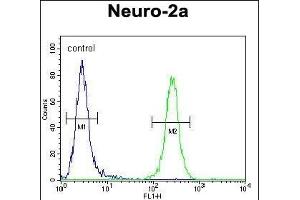 CCD Antibody (C-term) (ABIN654259 and ABIN2844079) flow cytometric analysis of Neuro-2a cells (right histogram) compared to a negative control cell (left histogram). (CEP89 Antikörper  (C-Term))