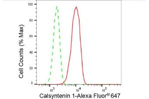 Flow cytometric analysis of Calsyntenin 1 expression in HT- cells using Calsyntenin 1 antibody (ABIN7797854), 1:2,000). (Rekombinanter Calsyntenin 1 Antikörper)