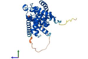 Protein Structure (PS) image for Cyclin D3 (CCND3) (AA 1-292) protein (His tag) (ABIN7563083)