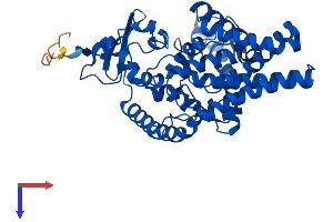 FADS2 Protein (AA 1-444) (His tag)
