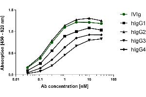 Different human IgG subclasses were coated on an ELISA plate at 100 ng. (Rekombinanter Maus anti-Human IgG (Fc Region) Antikörper)