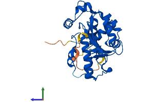 Protein Structure (PS) image for CCR4-NOT Transcription Complex, Subunit 7 (CNOT7) (AA 1-285) protein (His tag) (ABIN7557619)