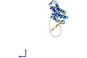 Protein Structure (PS) image for MOB Kinase Activator 2 (MOB2) (AA 1-237) protein (His tag) (ABIN7549422)