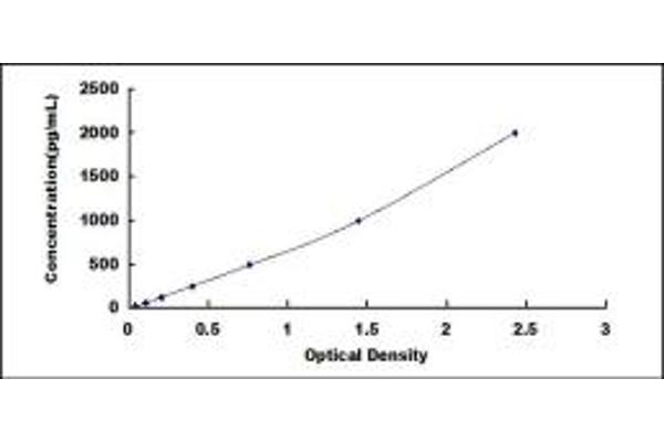 ANGPTL2 ELISA Kit