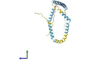 Protein Structure (PS) image for Tumor Protein D52-Like 2 (TPD52L2) (AA 1-206) protein (His tag) (ABIN7544740)