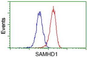 Flow cytometric Analysis of Hela cells, using anti-SAMHD1 antibody (ABIN2453908), (Red), compared to a nonspecific negative control antibody, (Blue). (SAMHD1 Antikörper)