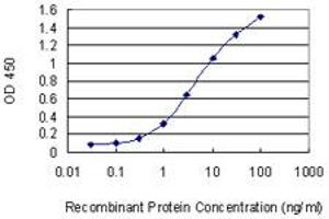 Detection limit for recombinant GST tagged UBE2K is 0. (UBE2K Antikörper  (AA 1-40))