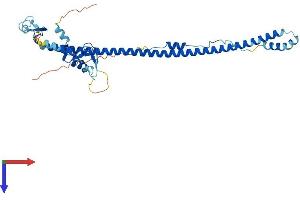 TRIM63 Protein (AA 1-353) (His tag)