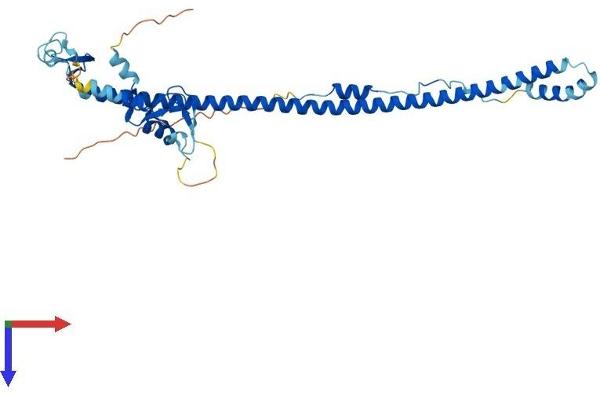 TRIM63 Protein (AA 1-353) (His tag)