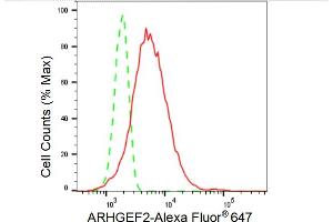 Flow cytometric analysis of ARHGEF2 expression in HT- cells using ARHGEF2 antibody (ABIN7800207), 1:2,000). (Rekombinanter ARHGEF2 Antikörper)