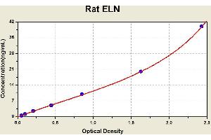 Diagramm of the ELISA kit to detect Rat ELNwith the optical density on the x-axis and the concentration on the y-axis.