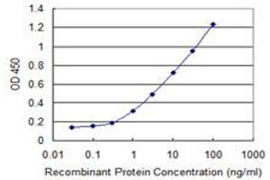 Detection limit for recombinant GST tagged SUPT16H is 0. (SUPT16H Antikörper  (AA 608-715))