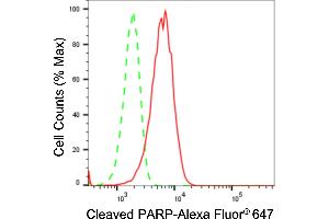 Flow cytometric analysis of Cleaved PARP expression in HeLa cells using Cleaved PARP antibody (ABIN7799864), 1:2,000).
