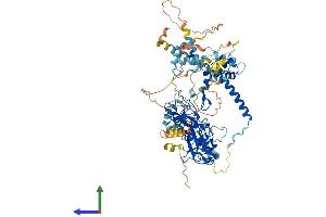 Protein Structure (PS) image for Enhancer of Zeste Homolog 1 (EZH1) (AA 1-747) protein (His tag) (ABIN7553852)