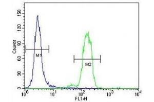 Bad antibody flow cytometric analysis of HeLa cells (right histogram) compared to a negative control (left histogram). (BAD Antikörper  (AA 92-127))