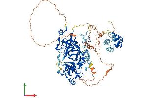 Protein Structure (PS) image for L(3)mbt-Like 4 (L3MBTL4) (AA 1-623) protein (His tag) (ABIN7549151)