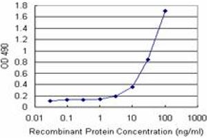 ARHGDIA (Human) Matched Antibody Pair