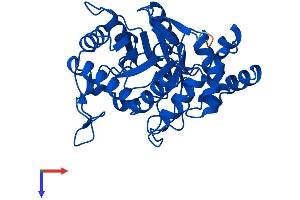 AKR1C1 Protein (AA 1-323) (His tag)