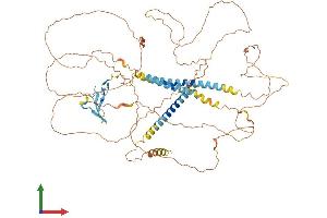 Protein Structure (PS) image for Neuregulin 3 (NRG3) (AA 1-720) protein (His tag) (ABIN7554801)