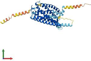Protein Structure (PS) image for Purinergic Receptor P2Y, G-Protein Coupled, 13 (P2RY13) (AA 1-354) protein (His tag) (ABIN7550439)