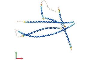 Protein Structure (PS) image for Janus Kinase and Microtubule Interacting Protein 1 (JAKMIP1) (AA 1-626) protein (His tag) (ABIN7548573)