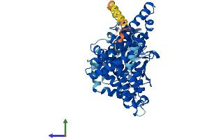 AlphaFold protein structure predicition of Human Recombinant ACOXL Protein, UniprotID Q9NUZ1