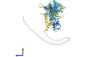 AlphaFold protein structure predicition of Human Recombinant MAGEE2 Protein, UniprotID Q8TD90