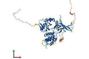 Protein Structure (PS) image for FERM Domain Containing 8 (FRMD8) (AA 1-466) protein (His tag) (ABIN7557177)
