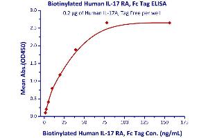Image no. 2 for Interleukin 17 Receptor A (IL17RA) (AA 33-320) (Active) protein (Fc Tag,AVI tag,Biotin) (ABIN4949028)