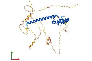 Protein Structure (PS) image for Neurogenic Differentiation 6 (NEUROD6) (AA 1-337) protein (His tag) (ABIN7563328)