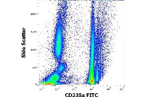 Flow cytometry surface staining pattern of human peripheral whole blood stained using anti-human CD235a (JC159) FITC antibody (4 μL reagent / 100 μL of peripheral whole blood). (CD235a/GYPA Antikörper  (FITC))