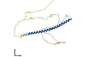 Protein Structure (PS) image for TCF3 (E2A) Fusion Partner (In Childhood Leukemia) (TFPT) (AA 1-259) protein (His tag) (ABIN7557127)
