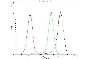 Flow Cytometry analysis of U20S cells using anti-BMP5 antibody (ABIN3043800). (BMP5 Antikörper  (C-Term))