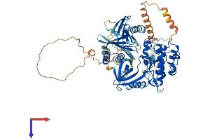 PLK2 Protein (AA 1-682) (His tag)