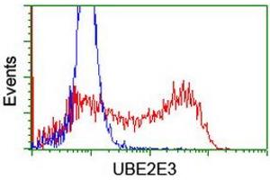 HEK293T cells transfected with either RC210328 overexpress plasmid (Red) or empty vector control plasmid (Blue) were immunostained by anti-UBE2E3 antibody (ABIN2455771), and then analyzed by flow cytometry. (UBE2E3 Antikörper)