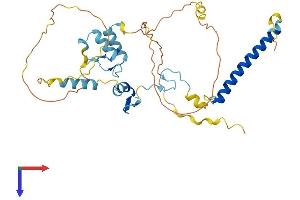 ATXN7L3 Protein (AA 1-347) (His tag)
