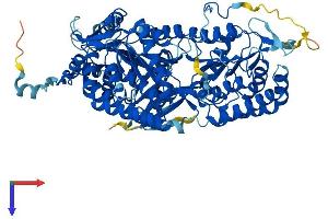 ALDH16A1 Protein (AA 1-802) (His tag)