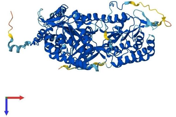 ALDH16A1 Protein (AA 1-802) (His tag)