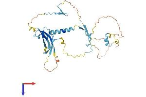SLC7A6OS Protein (AA 1-309) (His tag)