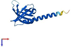 PHLDA3 Protein (AA 1-125) (His tag)